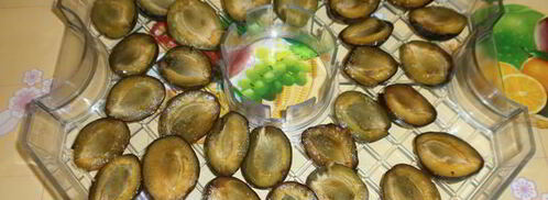 сушка слив в электросушилке. Шаг 5