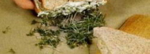 куриный сэндвич с кресс-салатом. Шаг 5