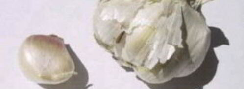 румяный сэндвич с помидором. Шаг 4