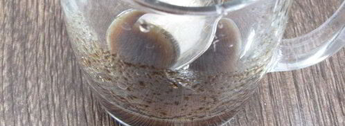 тарталетки с красным луком и сырным соусом. Шаг 9