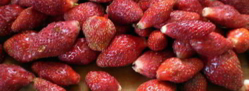 тарт с клубникой и белым шоколадом. Шаг 8