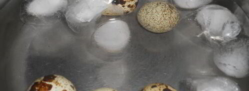 ржаные тосты с авокадо. Шаг 5