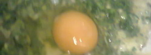 глазунья с эстрагоном. Шаг 6