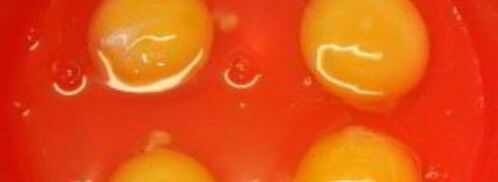 яичница с яблоками. Шаг 4