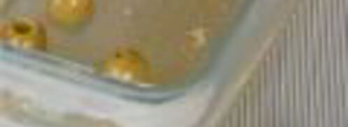 заливное из фаршированного языка. Шаг 6