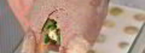 заливное из фаршированного языка. Шаг 7