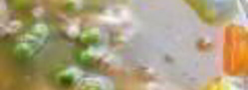 заливное из куриных грудок. Шаг 5