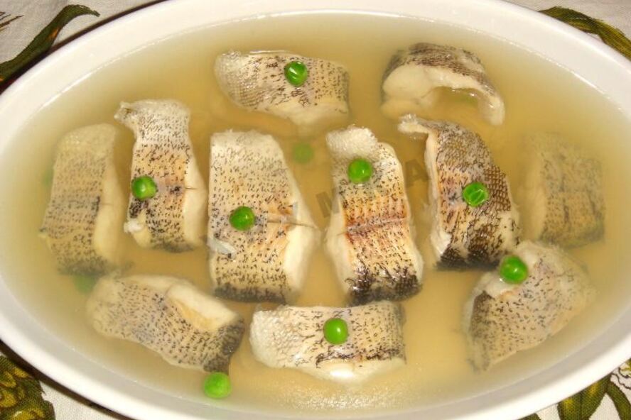 Рецепт заливного из щуки