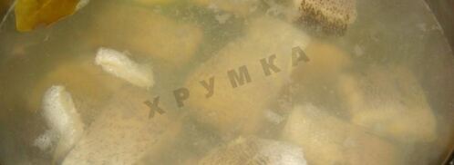 заливное из щуки. Шаг 4
