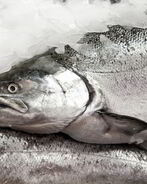 Заливное из судака