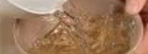 заливное из свиного языка с опятами. Шаг 4