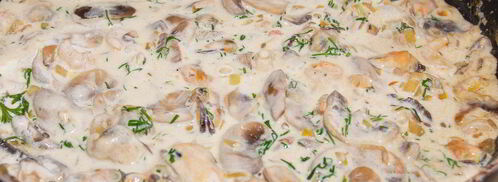 жюльен аристократ. Шаг 6